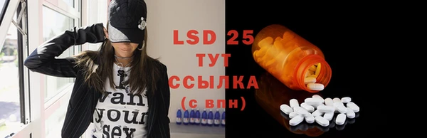 ГАЛЛЮЦИНОГЕННЫЕ ГРИБЫ Аркадак