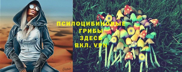 крисы Балахна