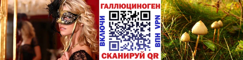 Галлюциногенные грибы Psilocybine cubensis Плавск