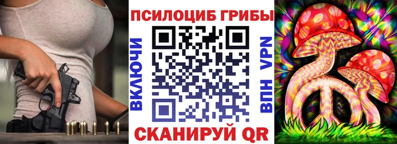 Купить  Плавск  Галлюциногенные грибы Psilocybine cubensis 